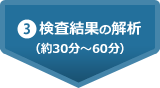 (3)検査結果の解析（約30分～60分）