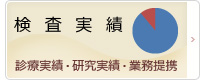 検査実績